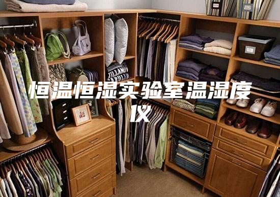 恒温恒湿实验室温湿度仪
