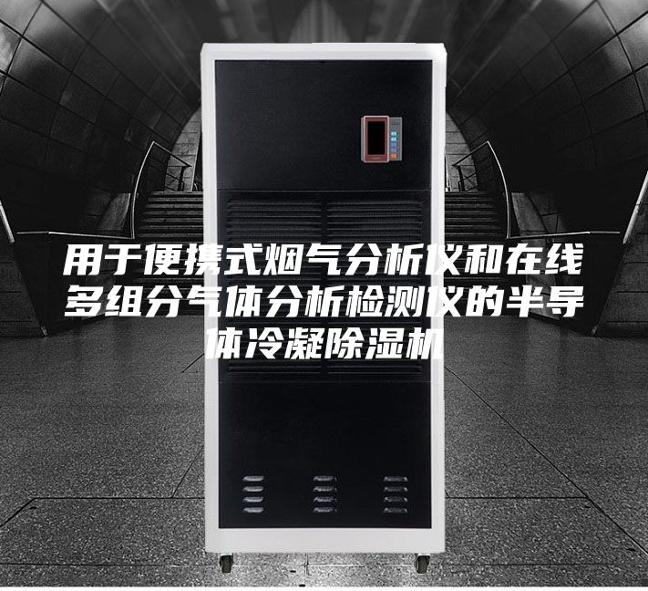 用于便携式烟气分析仪和在线多组分气体分析检测仪的半导体冷凝除湿机