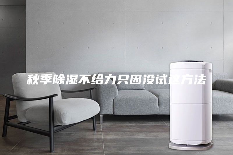 秋季除湿不给力只因没试这方法