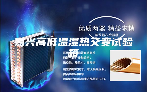 嘉兴高低温湿热交变试验箱