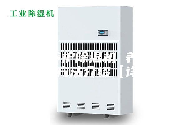 如何养护除湿机 养护除湿机方法介绍【详解】