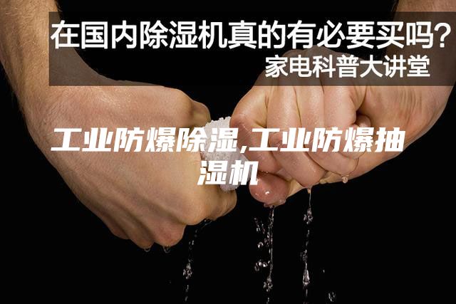 工业防爆除湿,工业防爆抽湿机