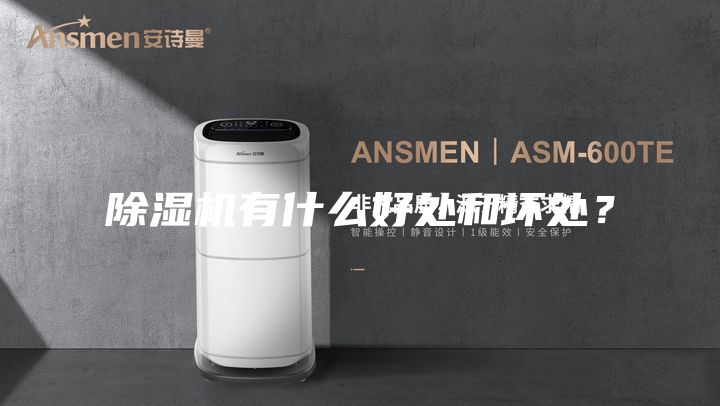 除湿机有什么好处和坏处？