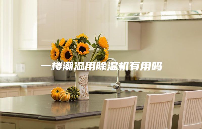 一楼潮湿用除湿机有用吗