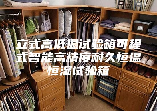 立式高低温试验箱可程式智能高精度耐久恒温恒湿试验箱