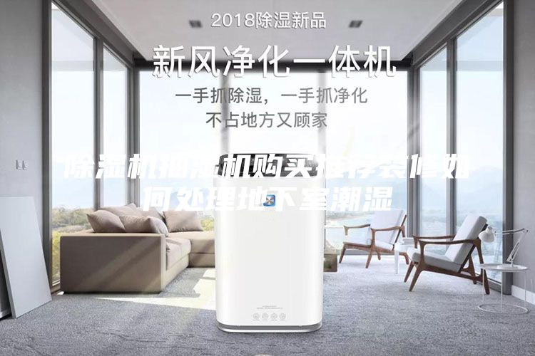 除湿机抽湿机购买推荐装修如何处理地下室潮湿