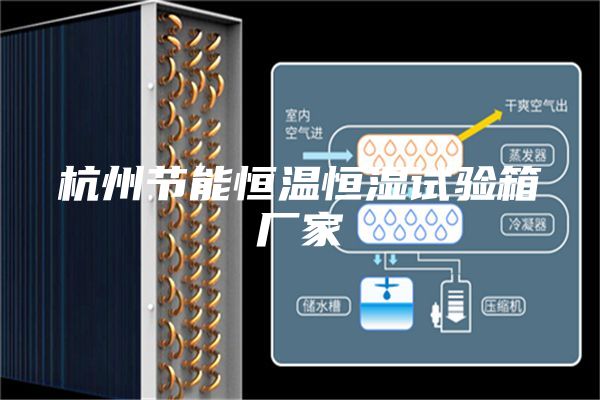 杭州节能恒温恒湿试验箱厂家