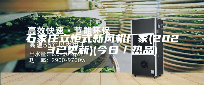 石家庄立柜式新风机厂家(2023已更新)(今日／热品)