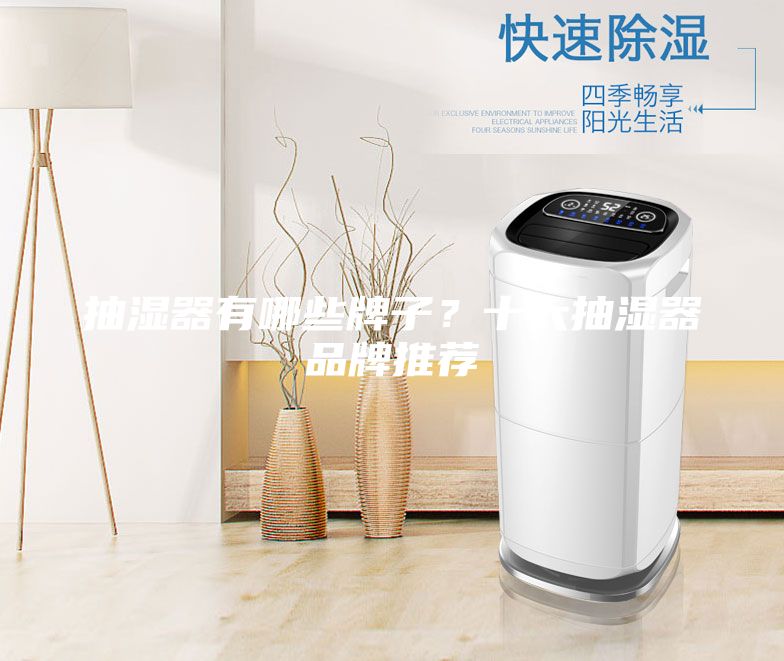 抽湿器有哪些牌子？十大抽湿器品牌推荐