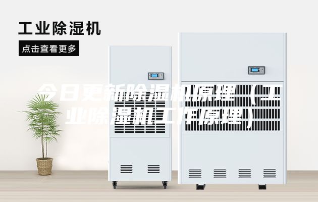 今日更新除湿机原理（工业除湿机工作原理）