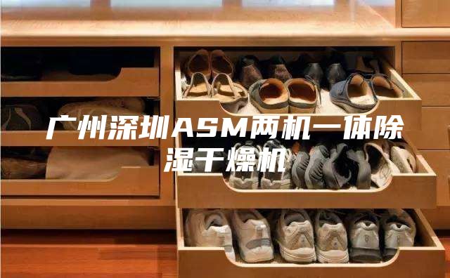 广州深圳ASM两机一体除湿干燥机