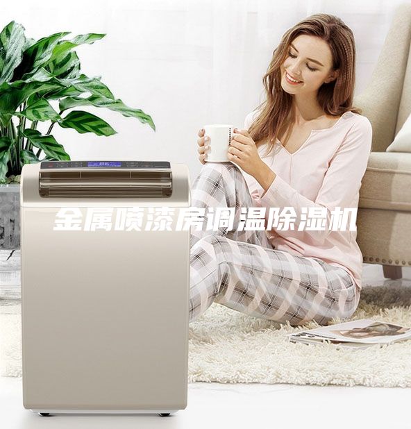 金属喷漆房调温除湿机