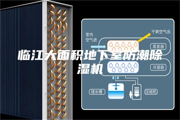 临江大面积地下室防潮除湿机