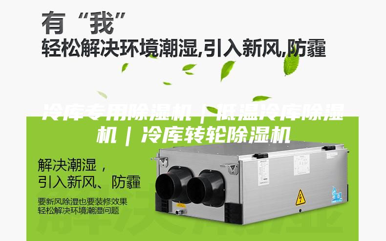 冷库专用除湿机|低温冷库除湿机|冷库转轮除湿机