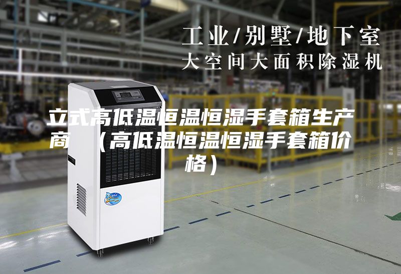 立式高低温恒温恒湿手套箱生产商 (高低温恒温恒湿手套箱价格)