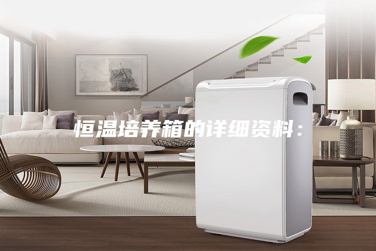 恒温培养箱的详细资料：