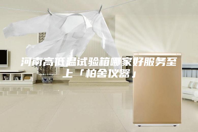 河南高低温试验箱哪家好服务至上「柏舍仪器」