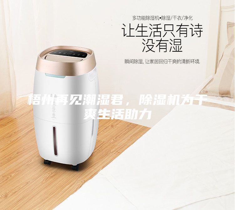 梧州再见潮湿君,除湿机为干爽生活助力