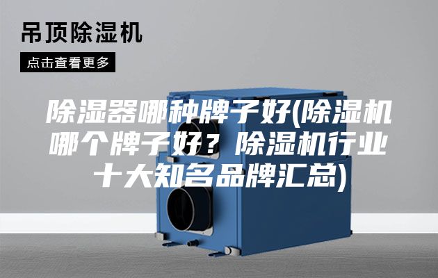 除湿器哪种牌子好(除湿机哪个牌子好？除湿机行业十大知名品牌汇总)