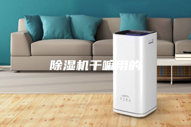 除湿机干嘛用的