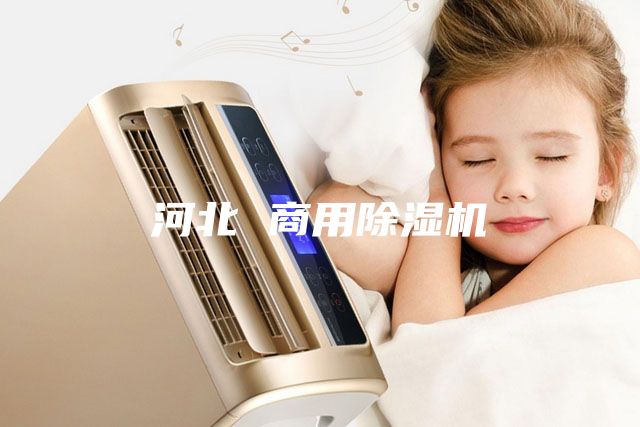 河北 商用除湿机