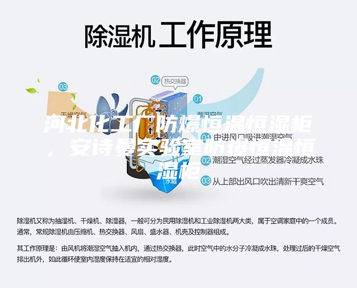 河北化工厂防爆恒温恒湿柜,安诗曼实验室防爆恒温恒湿柜