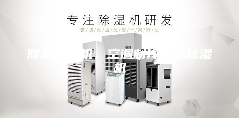 降温除湿机,空调制冷恒温除湿机