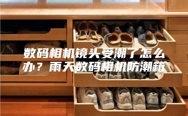 数码相机镜头受潮了怎么办？雨天数码相机防潮箱
