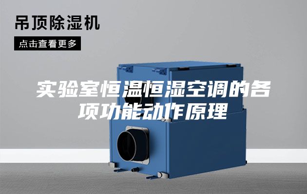 实验室恒温恒湿空调的各项功能动作原理