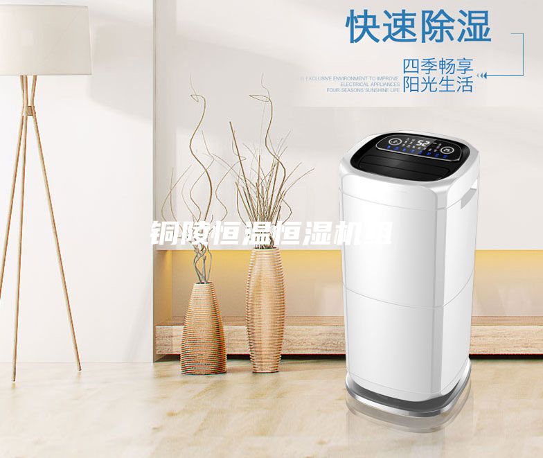 铜陵恒温恒湿机组