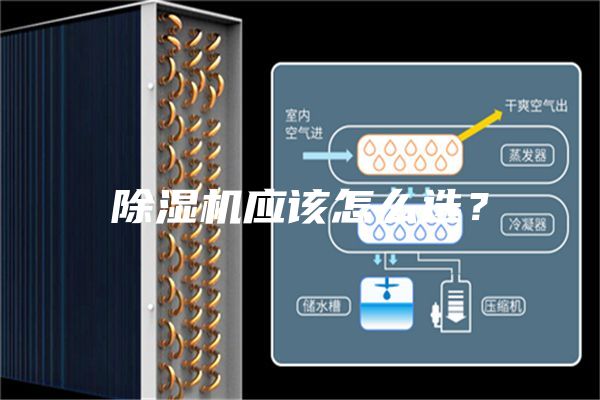 除湿机应该怎么选？