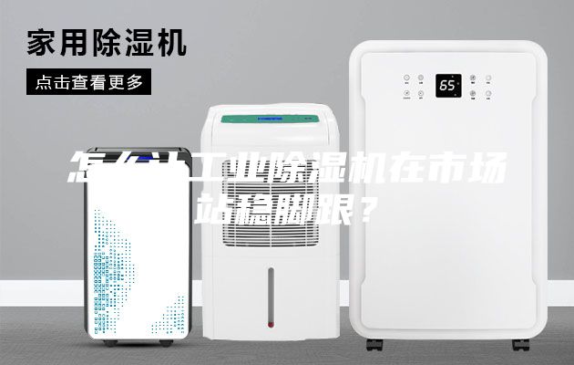 怎么让工业除湿机在市场站稳脚跟？