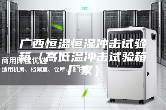广西恒温恒湿冲击试验箱（高低温冲击试验箱厂家）