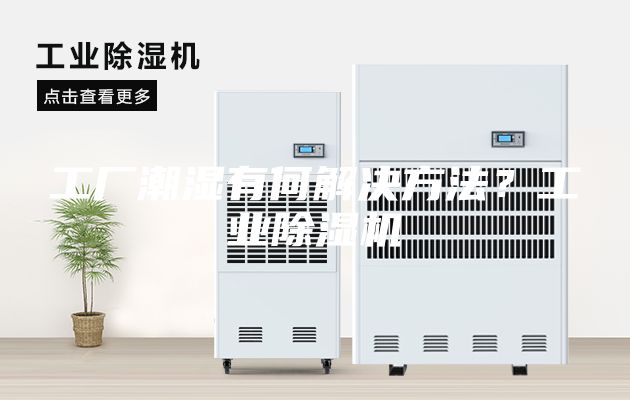 工厂潮湿有何解决方法？工业除湿机