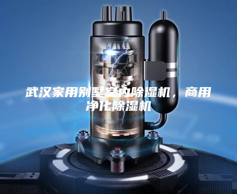 武汉家用别墅室内除湿机，商用净化除湿机