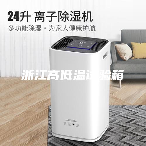 浙江高低温试验箱