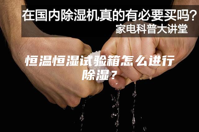 恒温恒湿试验箱怎么进行除湿？