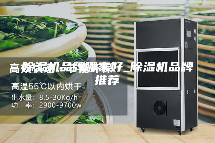 除湿机品牌哪家好_除湿机品牌推荐
