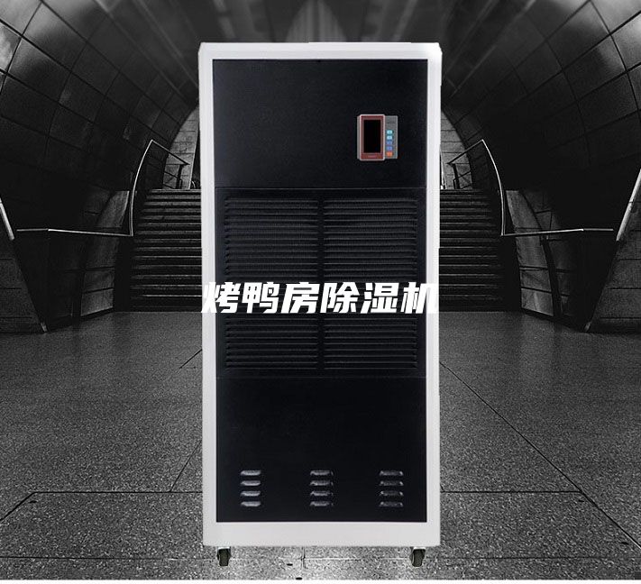 烤鸭房除湿机