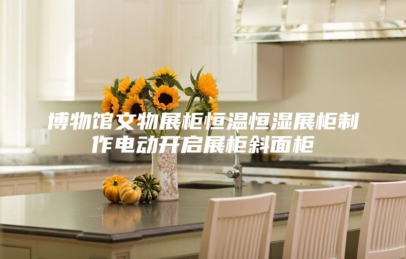 博物馆文物展柜恒温恒湿展柜制作电动开启展柜斜面柜
