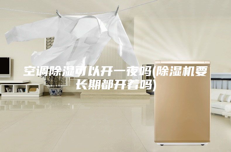 空调除湿可以开一夜吗(除湿机要长期都开着吗)