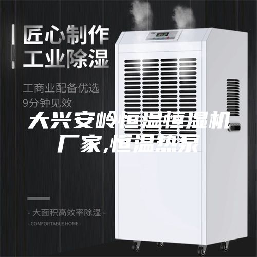 大兴安岭恒温恒湿机厂家,恒温热泵