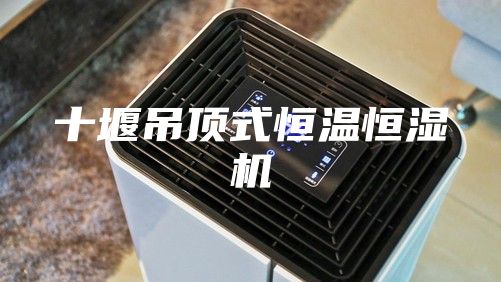 十堰吊顶式恒温恒湿机