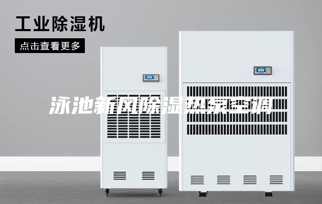 泳池新风除湿热泵空调
