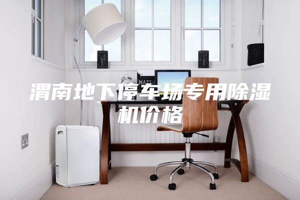 渭南地下停车场专用除湿机价格