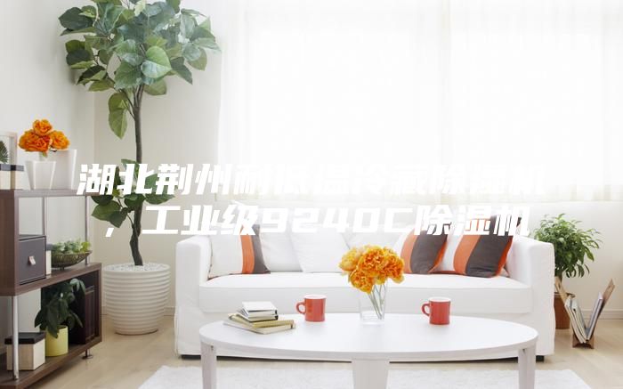 湖北荆州耐低温冷藏除湿机，工业级9240C除湿机