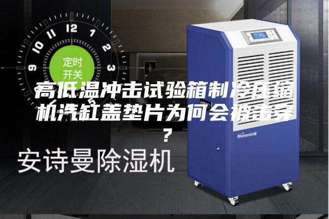 高低温冲击试验箱制冷压缩机汽缸盖垫片为何会被击穿?