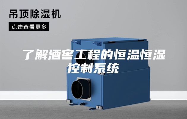 了解酒窖工程的恒温恒湿控制系统