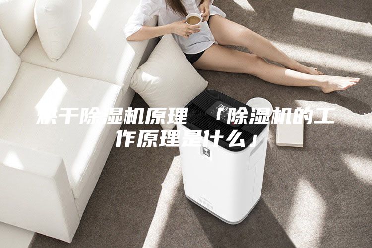 烘干除湿机原理 「除湿机的工作原理是什么」