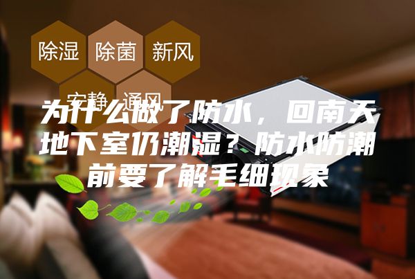 为什么做了防水,回南天地下室仍潮湿?防水防潮前要了解毛细现象